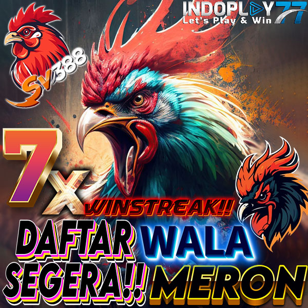 SV388 & INDOPLAY77 🔥 Platform Sabung Ayam Online Tersohor dan Teruji Di Indonesia - WooCommerce eCommerce